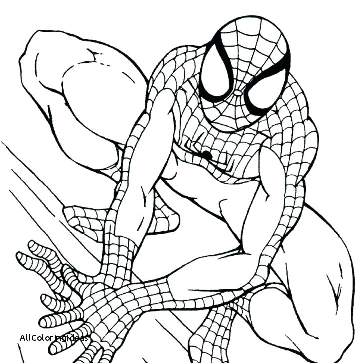 728x728 Sly Cooper Coloring Pages Despicable Me Coloring Pages Free