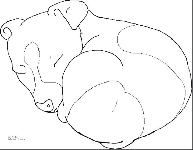 618x480 Sly Cooper Sly Cooper Coloring Sheets