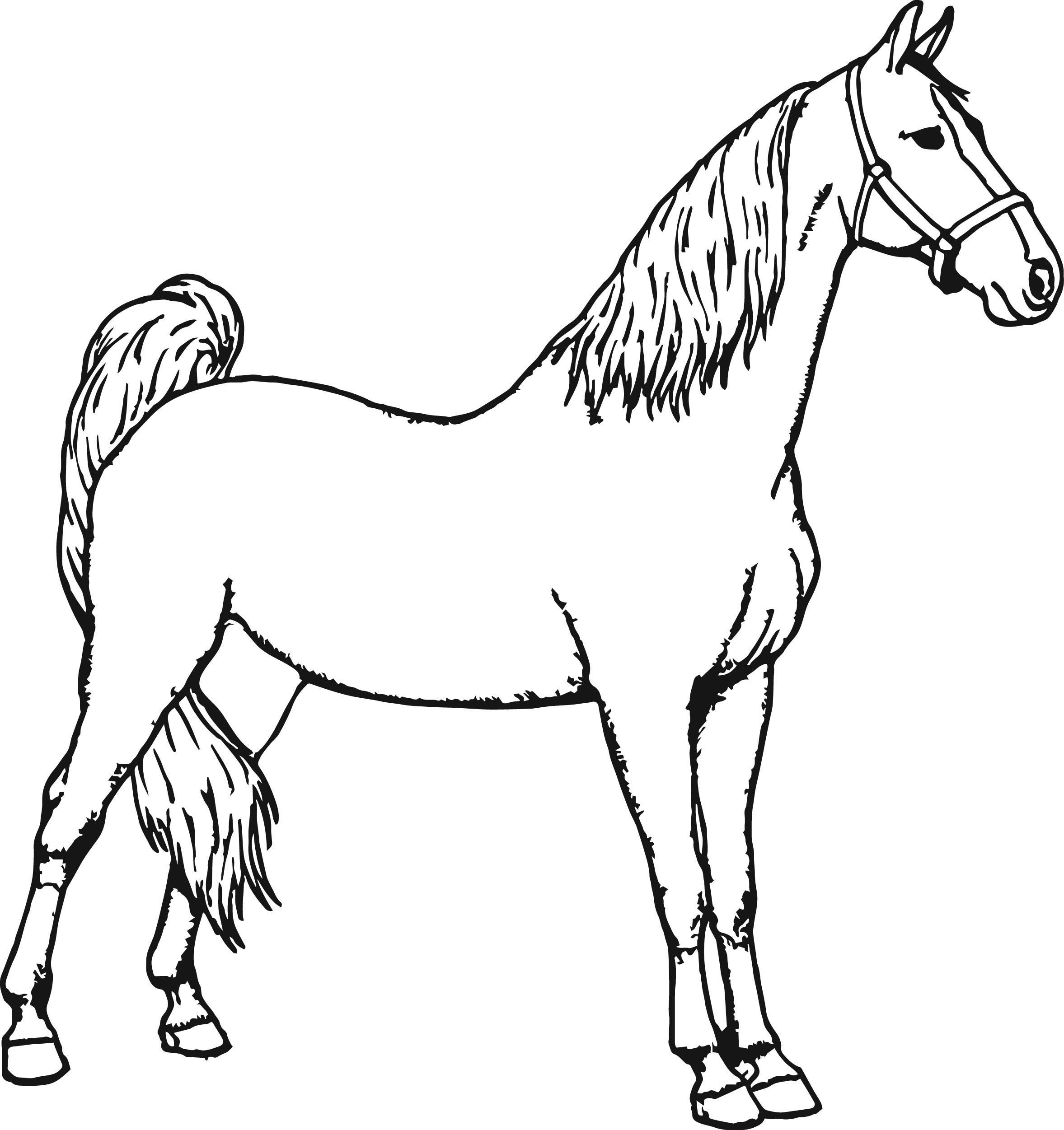 2355x2502 Horse Coloring Pages Baby Eson