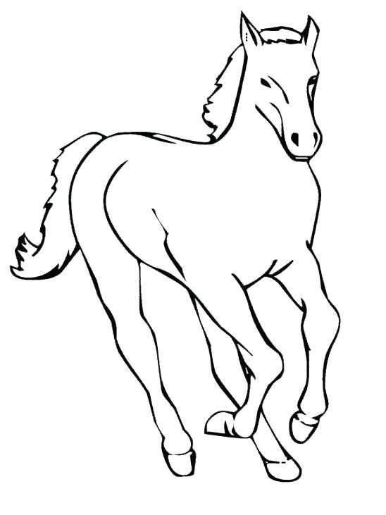 548x731 Horse Coloring Pages Free Mustang Horse Coloring Pages Horse