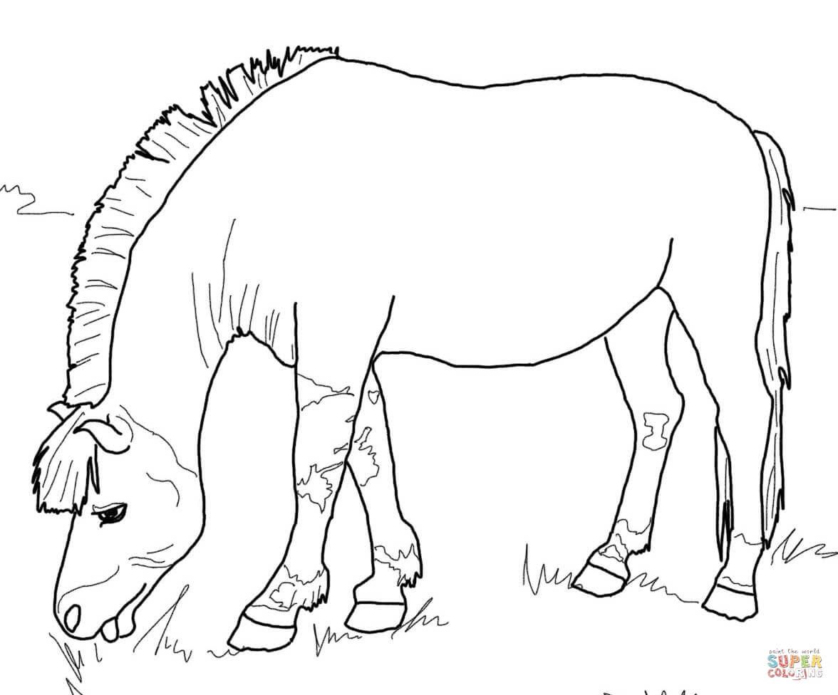 1176x976 Norwegian Fjord Horse Coloring Pages Fused Glass Ideas