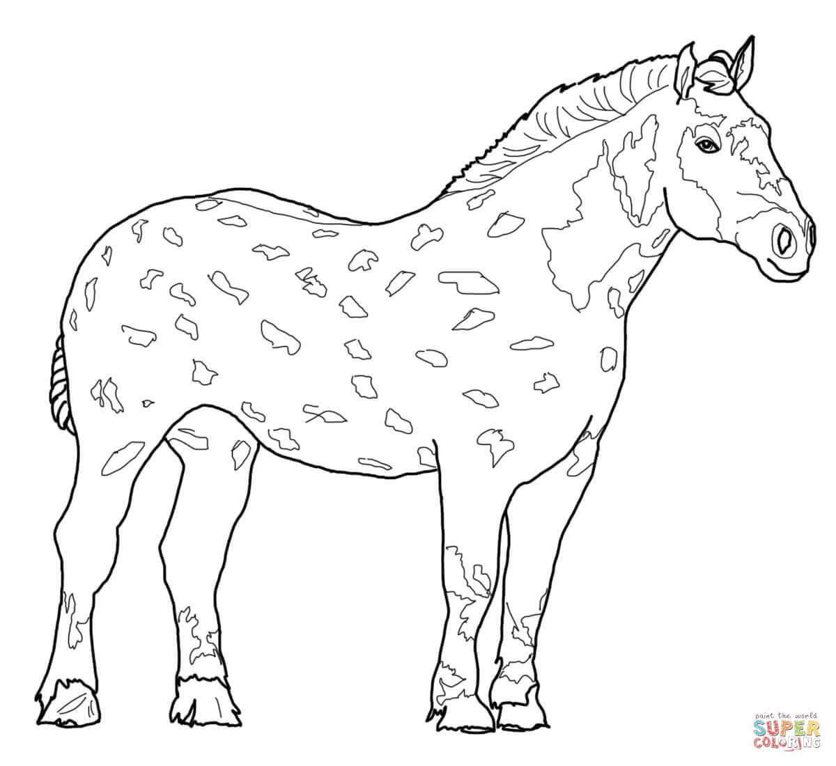1200x1100 Pin By Wanda Twellman On Coloring Horses Horse