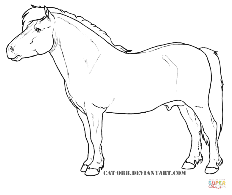 779x656 Shetland Pony For Coloring Page