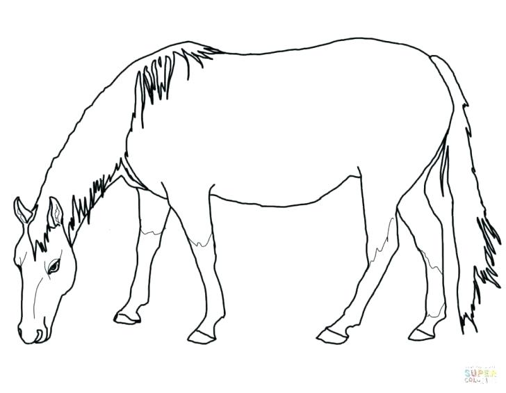728x565 Pony Horse Coloring Pages