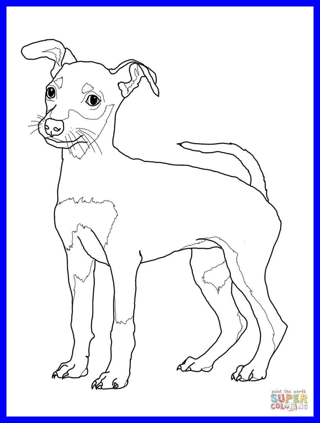 1250x1650 Stunning Coloring Pages Of Goldendoodle Puppies Color Sheets