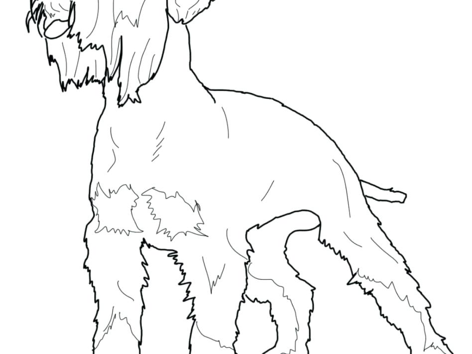 948x711 Schnauzer Coloring Pages Click The Pond Animals Coloring Pages