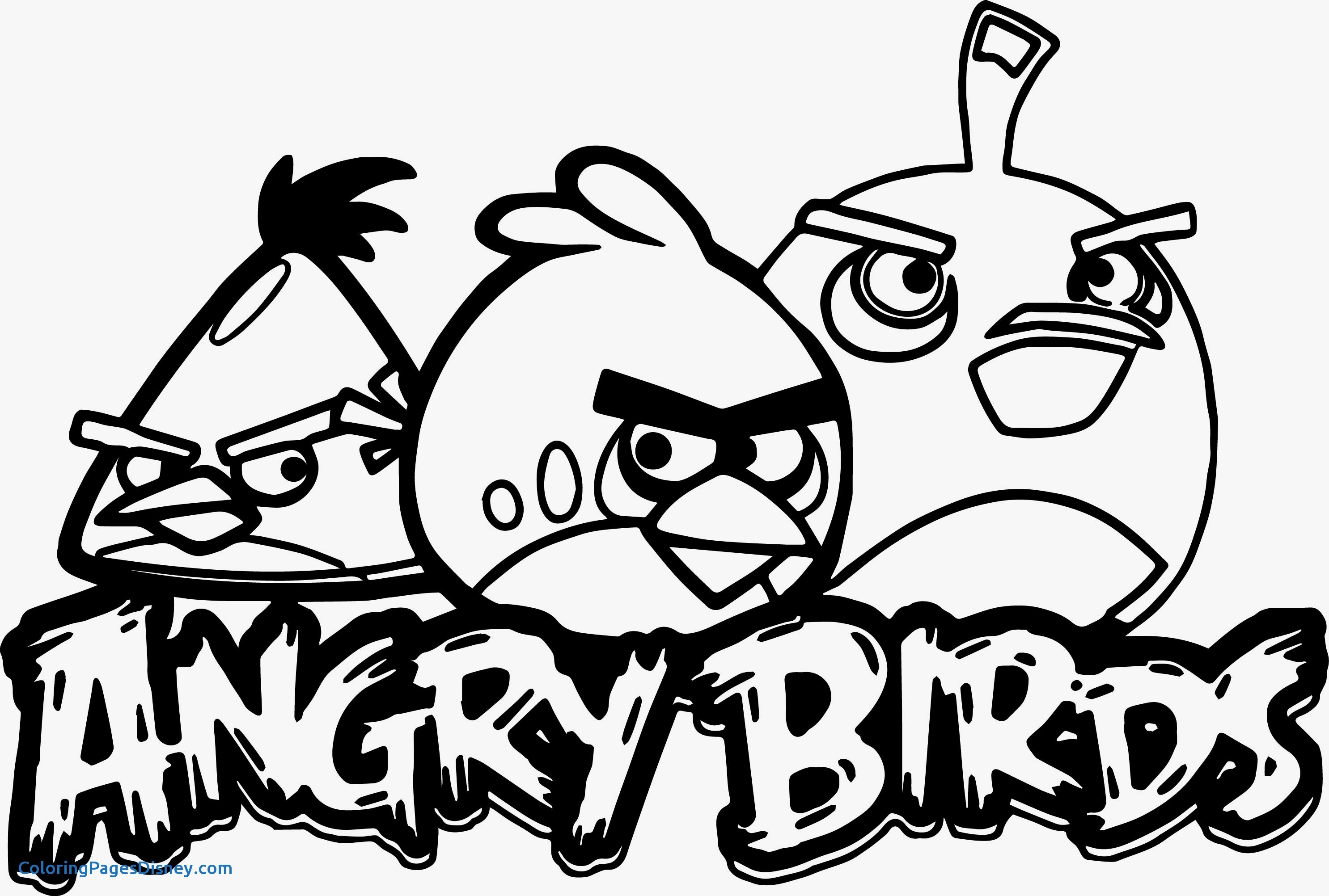 2972x2005 Mink Coloring Pages Inspirational Angry Bird Coloring Pages