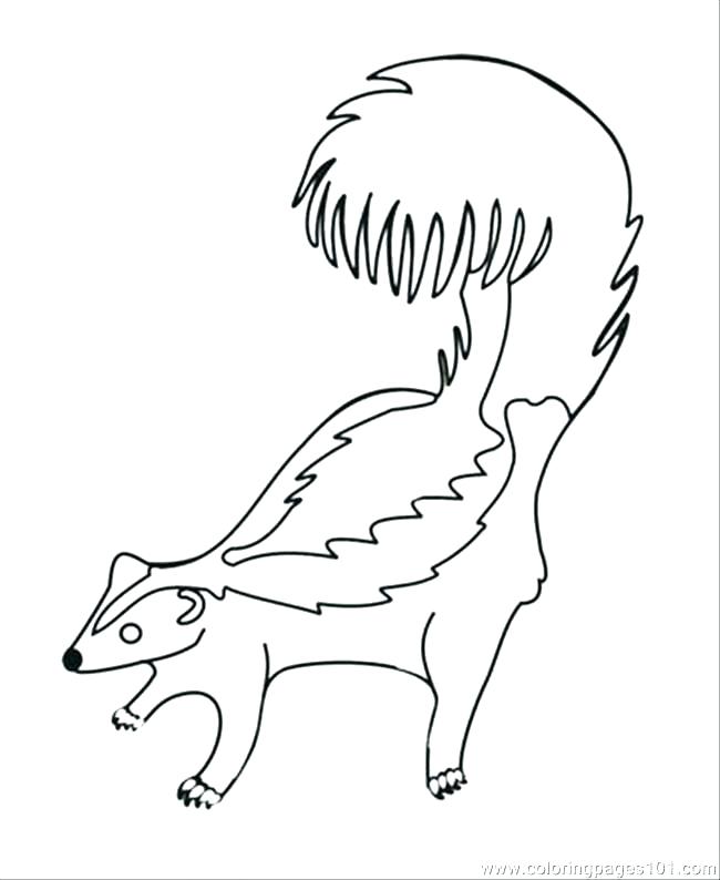 650x794 Mink Coloring Pages Skunk Coloring Page Skunk Coloring Page Skunk