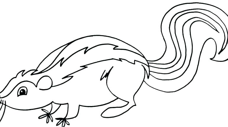 770x430 Skunk Coloring Pages Mink Coloring Pages Skunk Coloring Pages