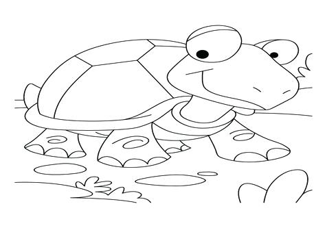 476x333 Tortoise Coloring Page