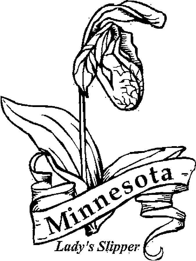 Minnesota Wild Coloring Pages