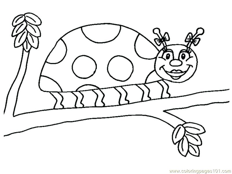 800x602 Miraculous Ladybug And Cat Noir Coloring Pages Printable Page Free