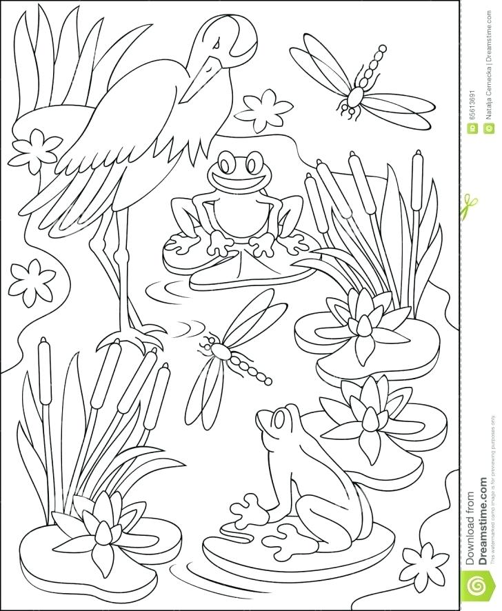 728x886 Viola Swamp Coloring Page Miss Nelson Is Missing Reading Fuhrer