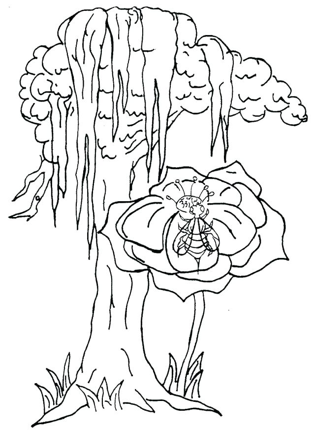 638x878 Coloring Pages For Kids Easter Miss Nelson Is Missing Page Google