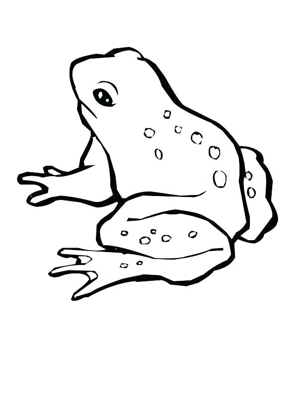618x800 Miss Piggy Coloring Pages