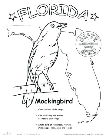 350x453 Mockingbird Coloring Page Drawing Northern Mockingbird Coloring