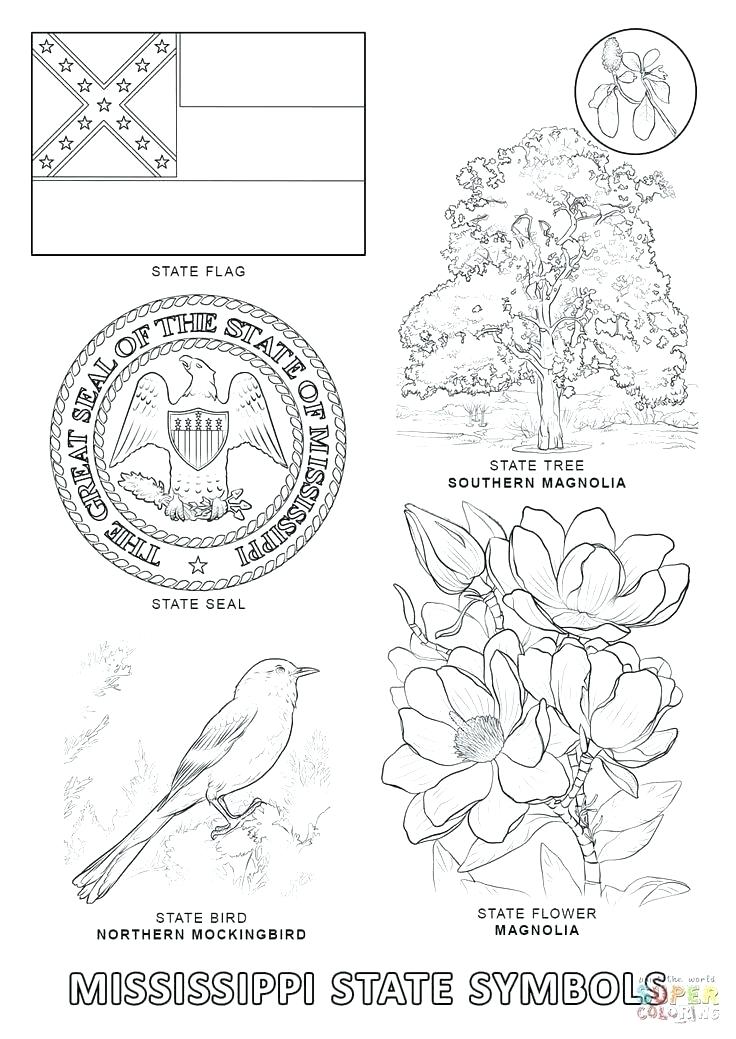 736x1039 Mockingbird Coloring Page Mockingbird Coloring Page State Symbol