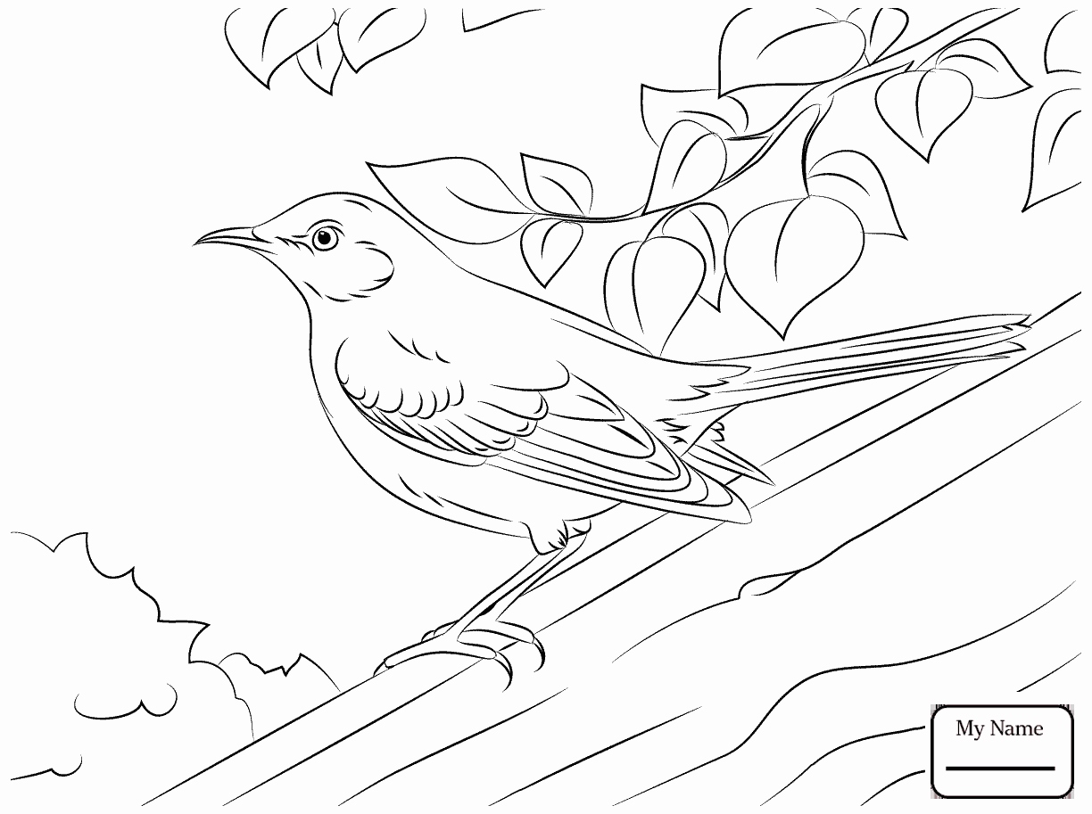 1224x913 12 Awesome Of Mississippi Coloring Pages Images