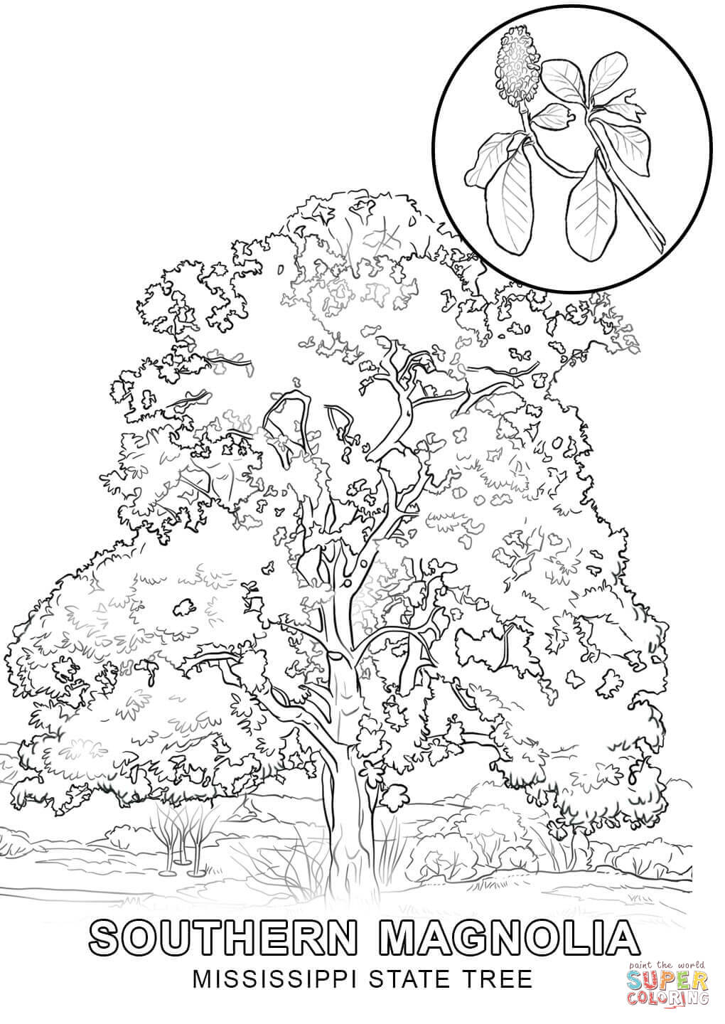 1020x1440 Mississippi State Tree Coloring Page Inside 7