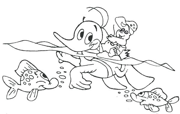 600x382 River Coloring Pages River Coloring Page Amazon River Fish