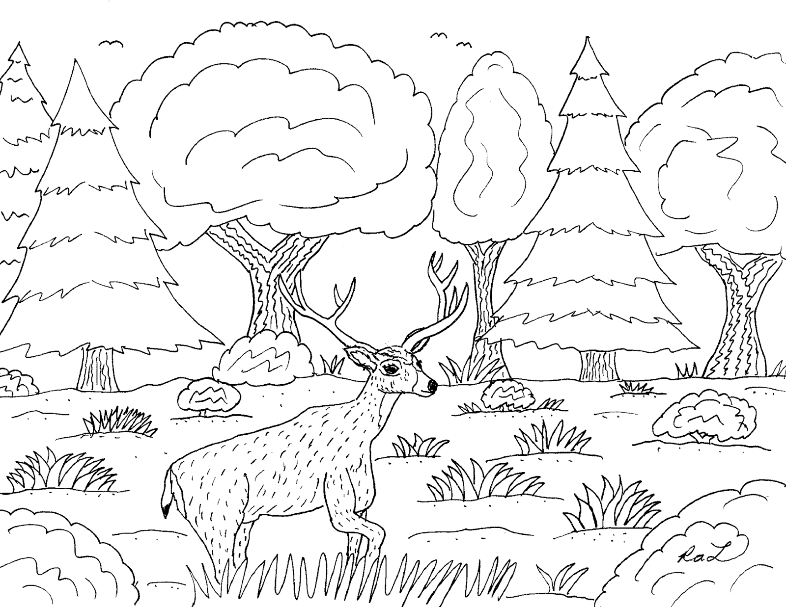 1600x1237 Robin's Great Coloring Pages April 2017