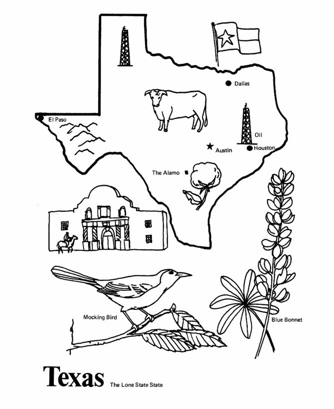 670x820 13 Best State Coloring Pages Images On 50 States
