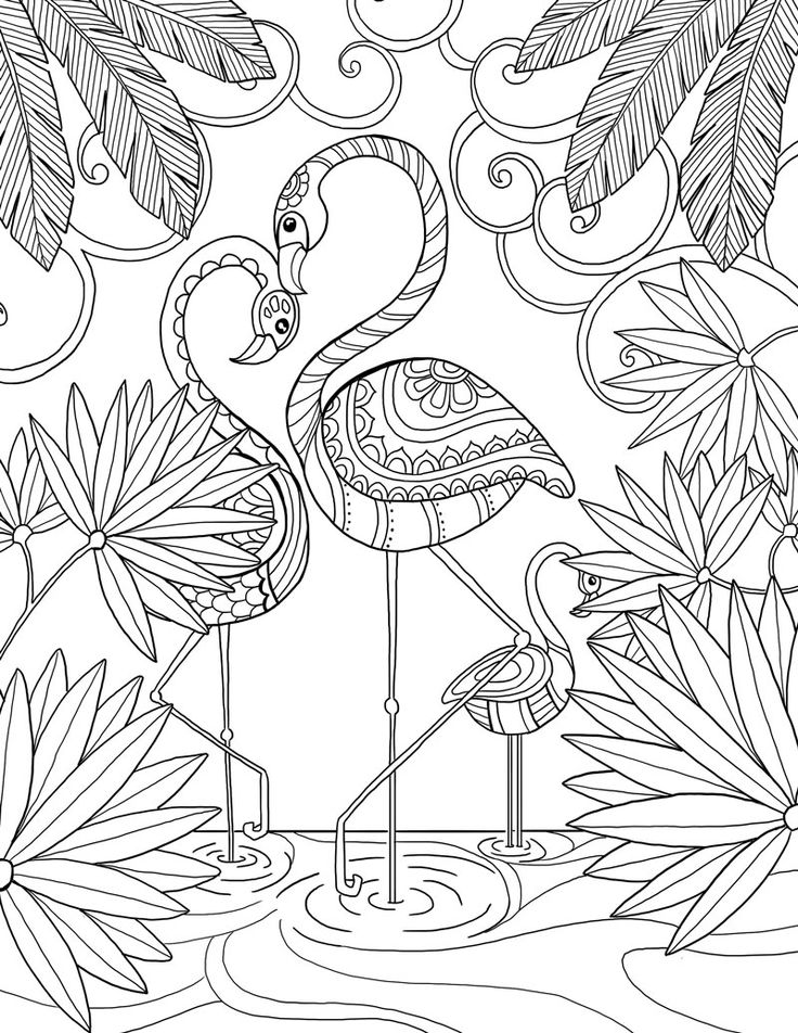 736x952 85 Best Florida Images On Coloring Books, Coloring