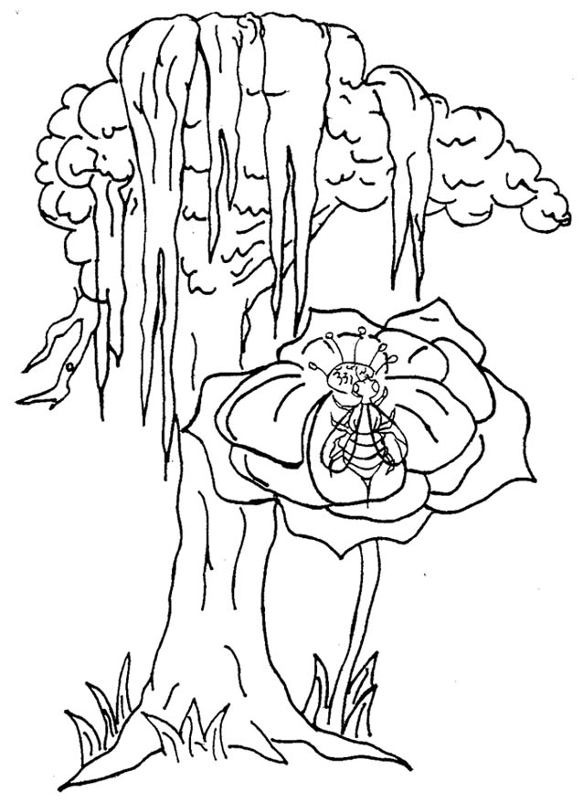 638x878 Coloring Pages Office Of The Governor Of Louisiana