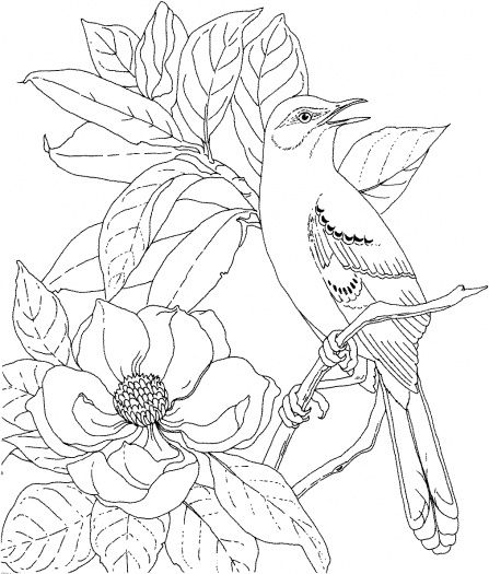 Mississippi State University Coloring Pages