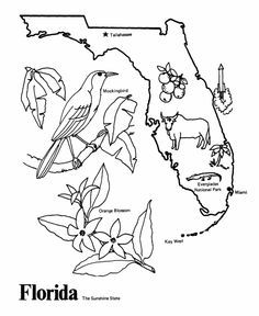 236x288 13 Best State Coloring Pages Images On 50 States