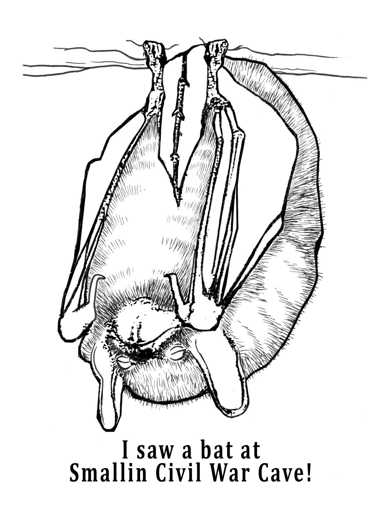 1275x1650 Missouri Coloring Page