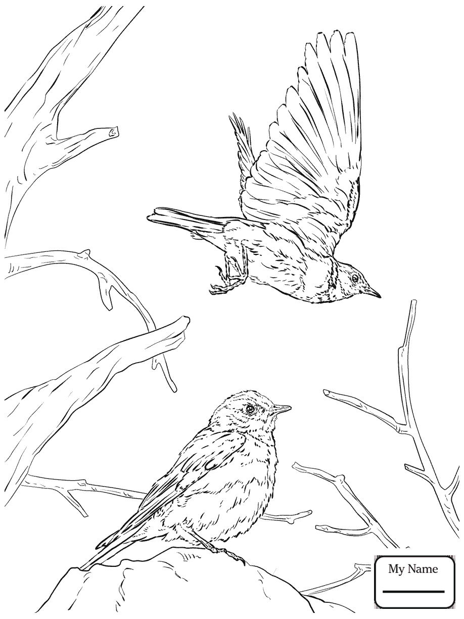 918x1224 Blue Bird Coloring Pages Mia The Hellokids Com Prixducommerce