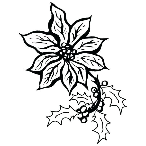 600x600 Mistletoe Coloring Page Coloring Pages Mistletoe Printable