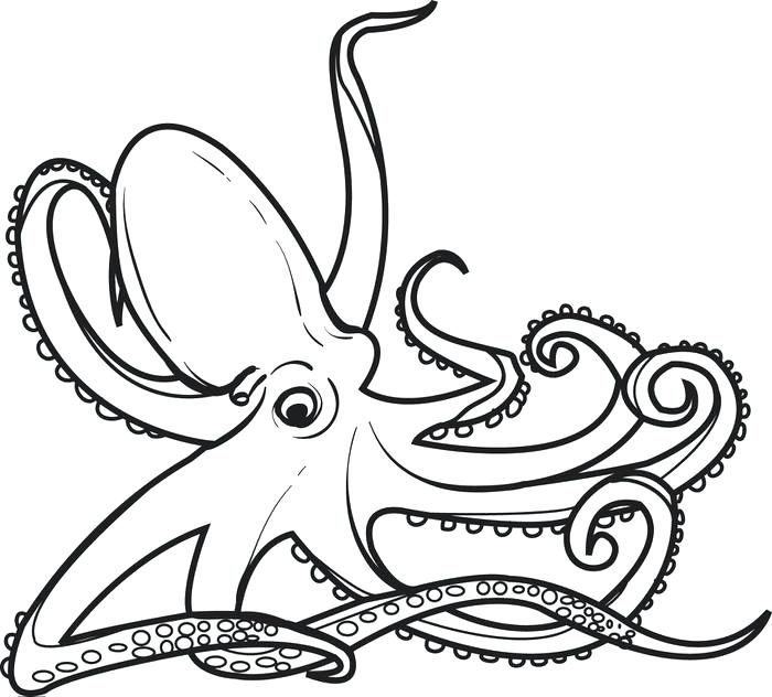 700x632 Mistletoe Coloring Page Elf Coloring Download Elf Coloring Page