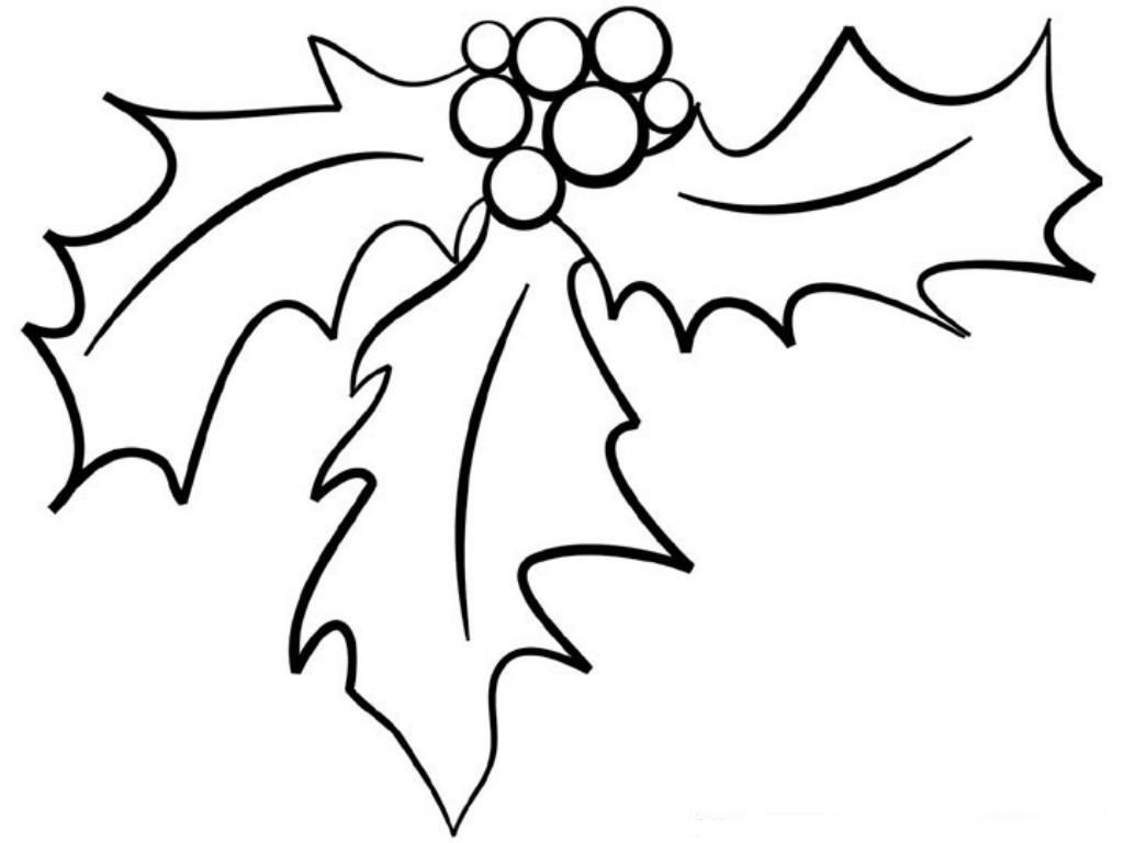 1024x768 Mistletoe Coloring Page Throughout Pages Studynow Me Endear