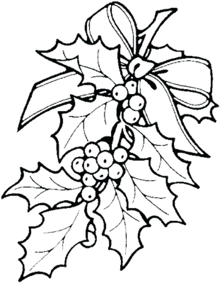 700x900 Mistletoe Coloring Pages Flower Mistletoe Coloring Sheets Daihoi