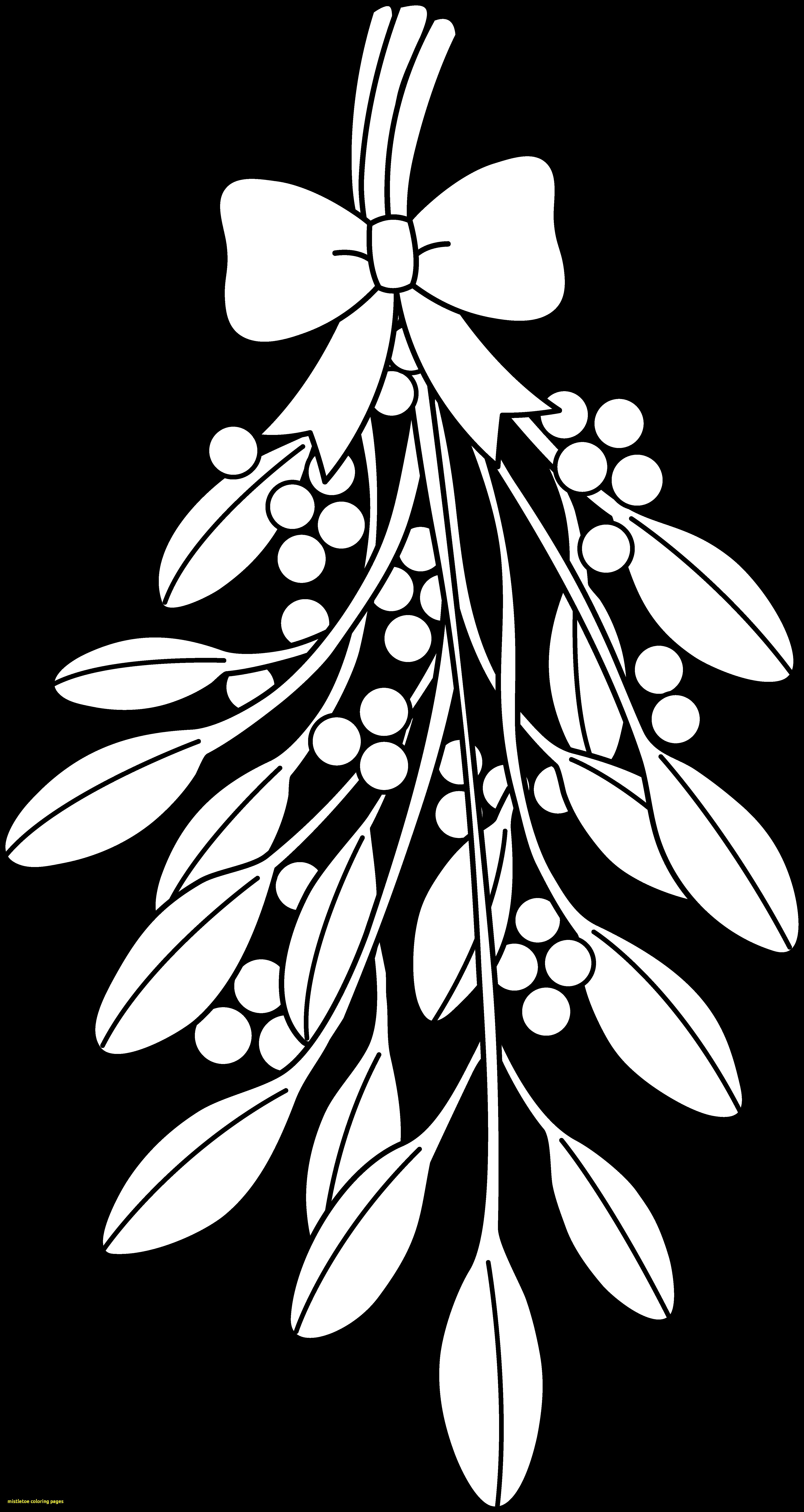4303x8090 Christmas Coloring Pages Mistletoe Page Lovely Printable