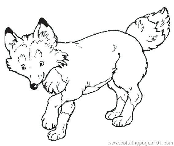 567x476 The Mitten Coloring Page The Mitten Coloring Page The Mitten Mural