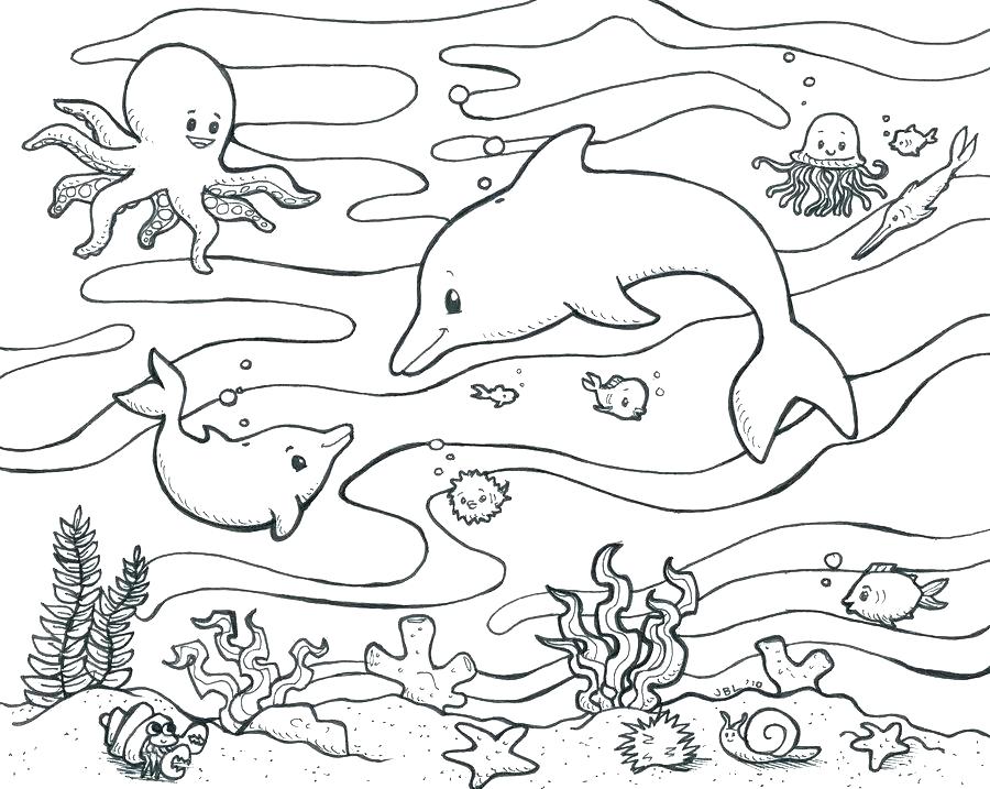 900x717 Mlb Coloring Pages Major League Baseball Mascots Coloring Pages