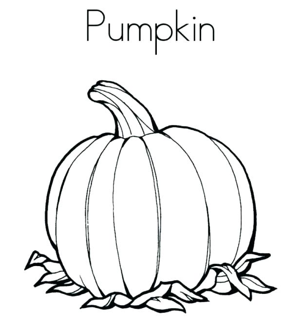 618x676 Mlk Coloring Pages Free