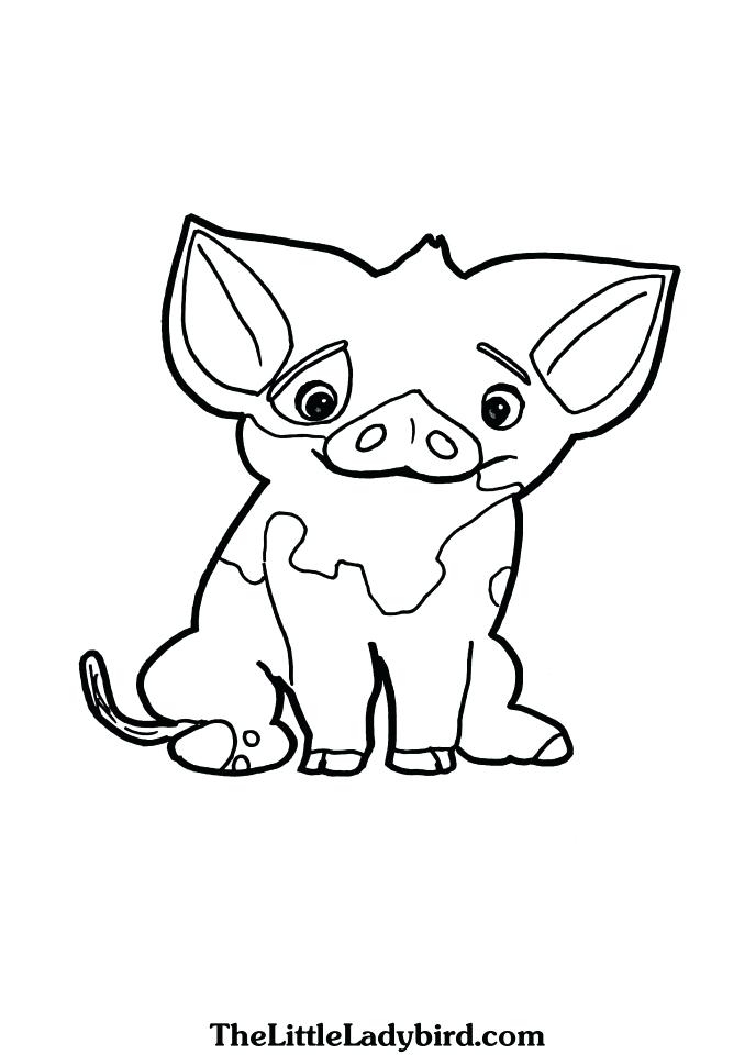 688x960 Moana Coloring Pages Printables