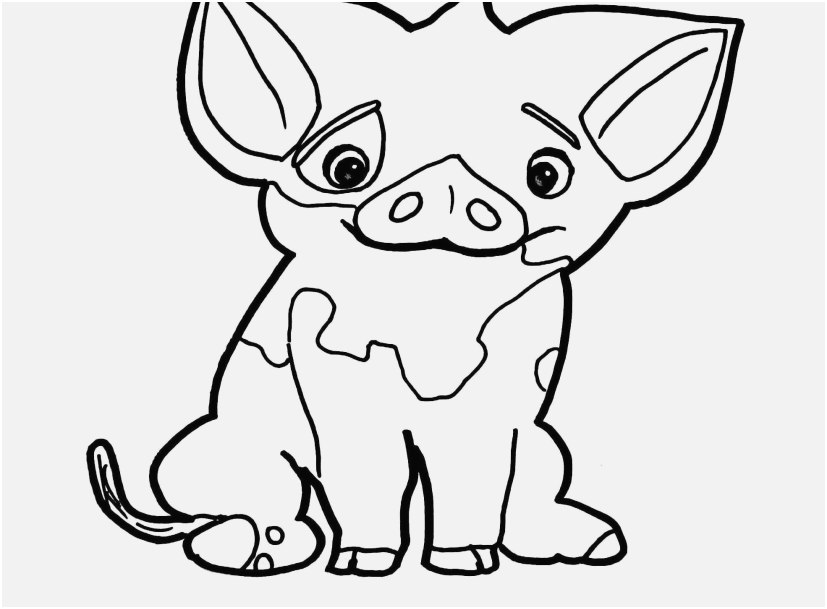827x609 Moana Coloring Pages Gallery Pua Pig From Moana Coloring Page Free