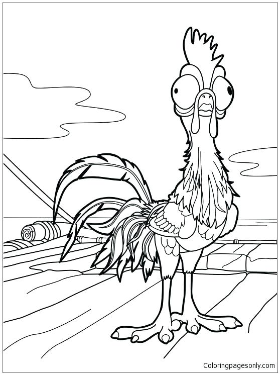 558x746 Moana Coloring Pages Printable Plus Coloring Pages Coloring Page