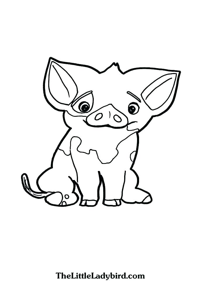 688x960 Moana Printable Coloring Pages Pdf Icontent