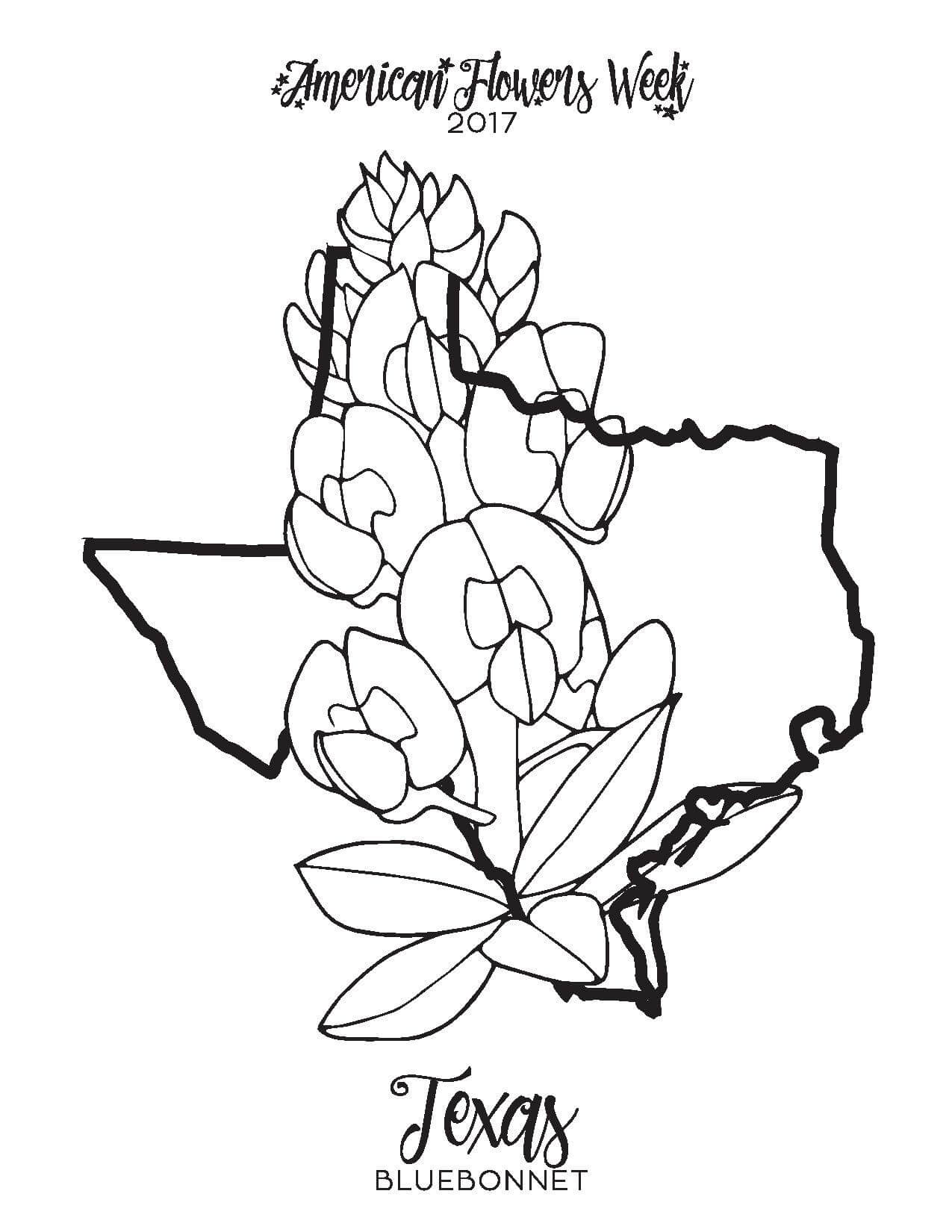 1275x1650 Impressive Texas Bluebonnet Coloring Page Mock