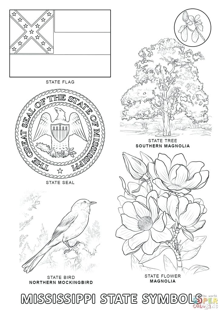 736x1039 Mockingbird Coloring Page State Symbols Coloring Page Free