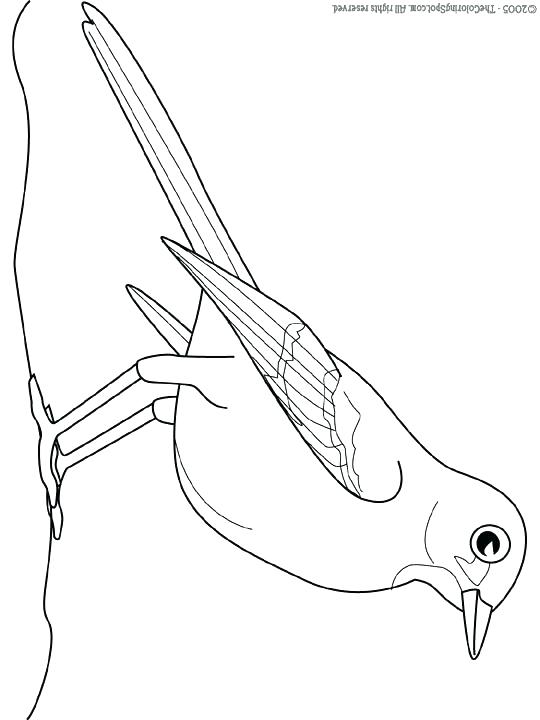 540x720 Mockingbird Coloring Page