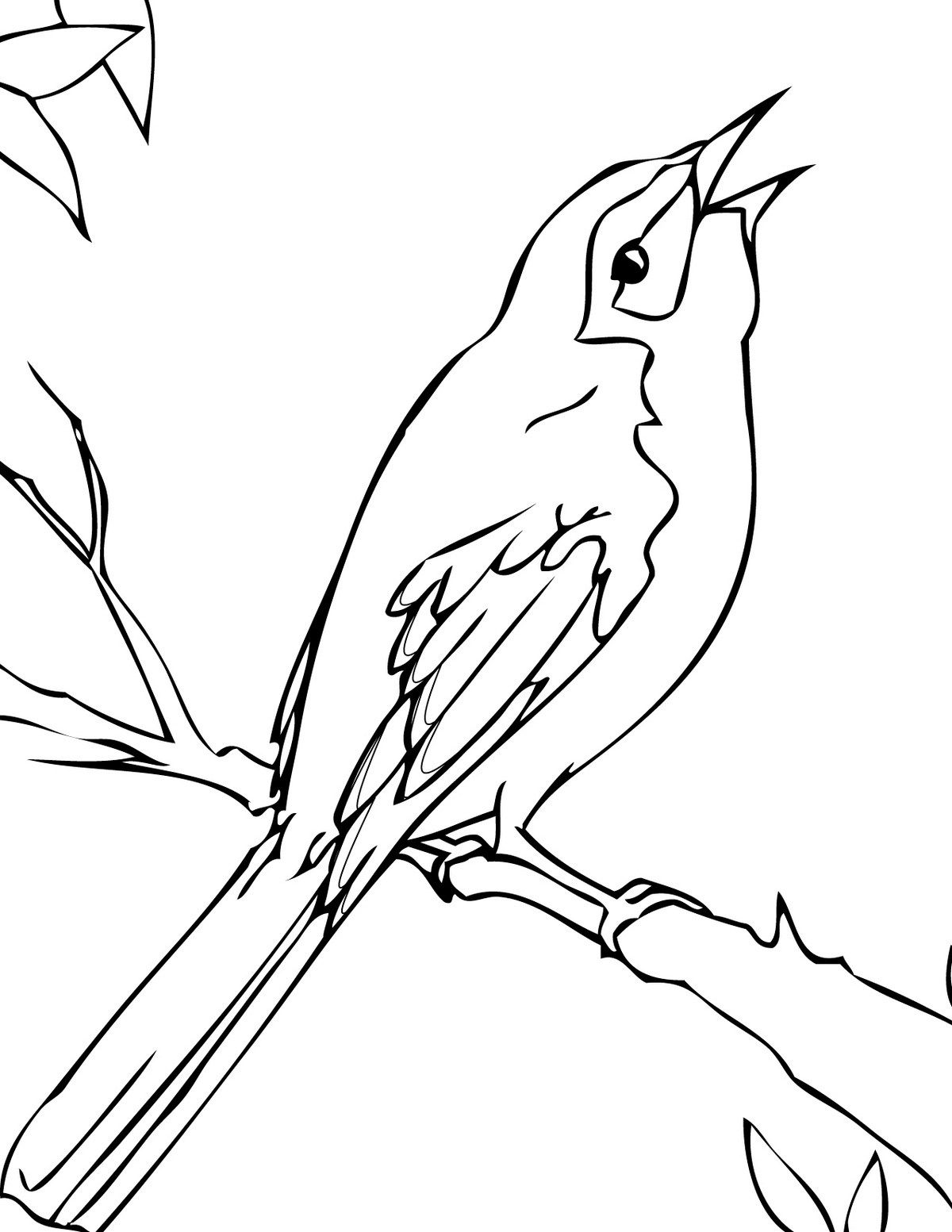 1200x1553 Florida Mockingbird Coloring Page Animal Coloring Activity Page