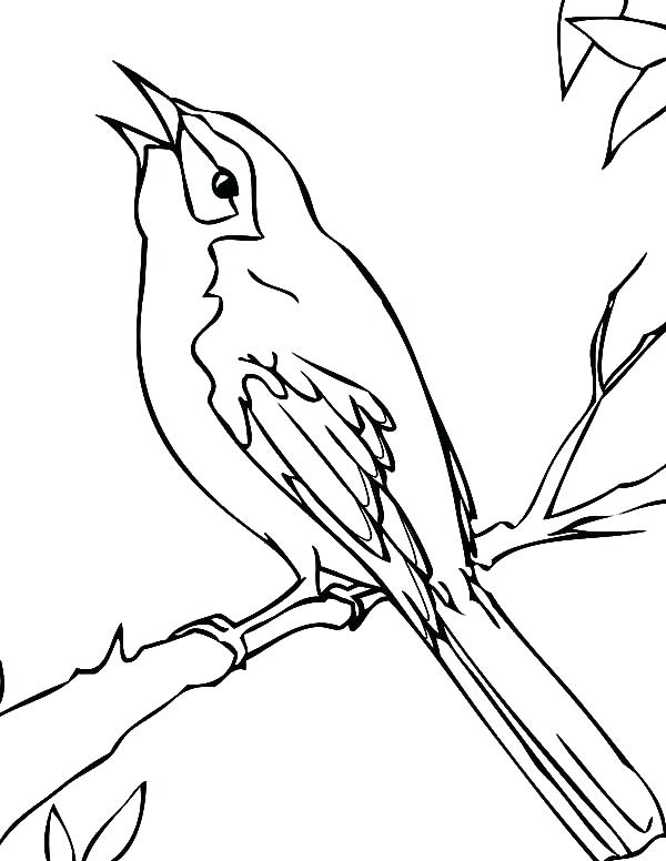 600x776 Free Printable Coloring Pages Part Mockingbird Black Bird Black