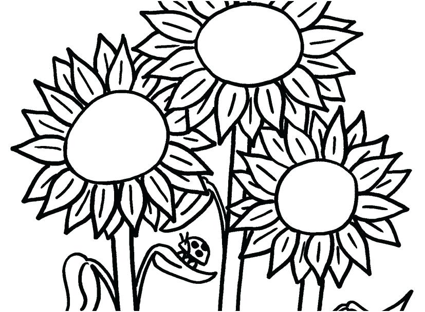 827x609 Modern Art Coloring Pages Coloring Page Flowers Farm Signs Modern